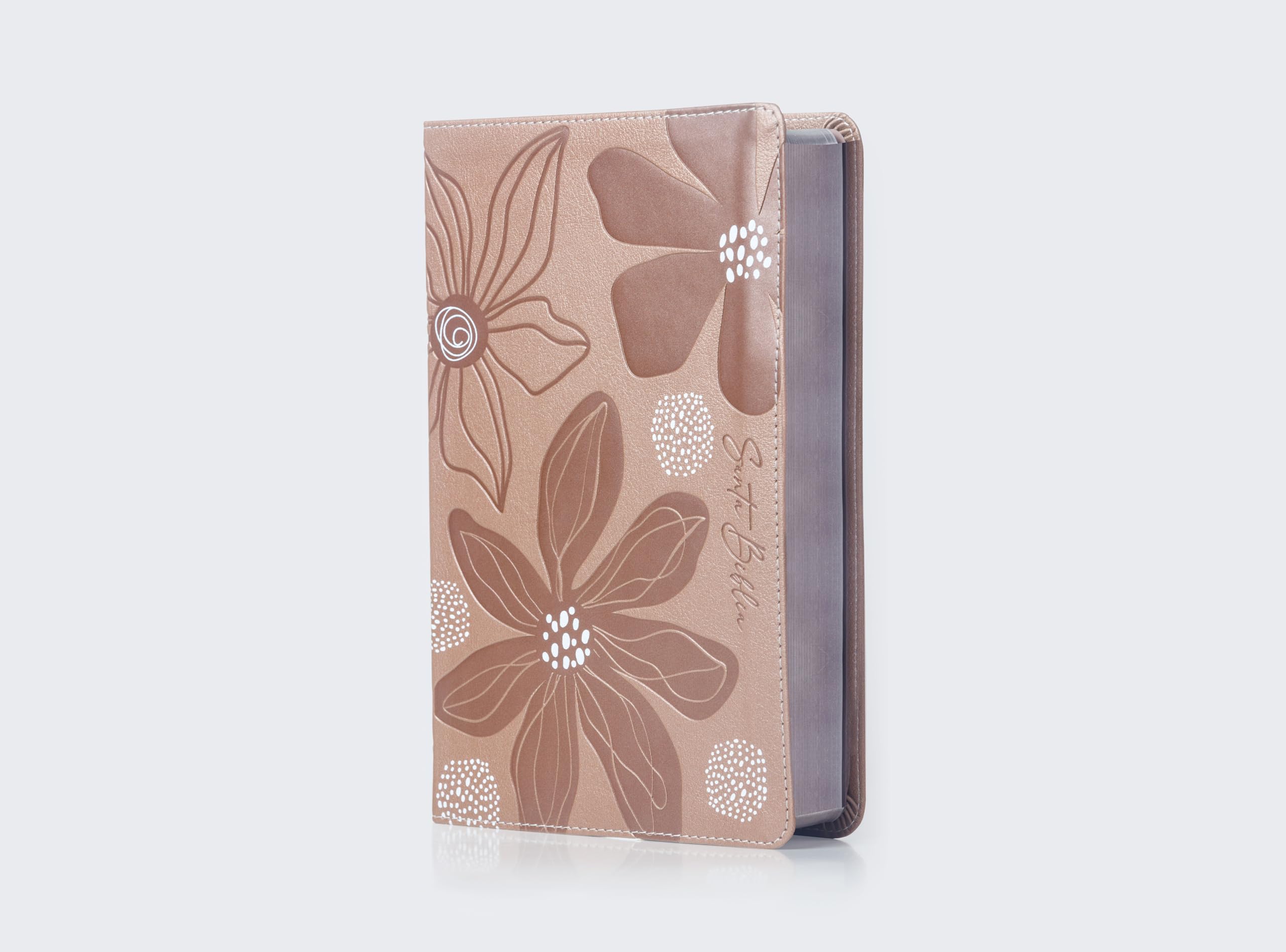 Biblia de estudio para jovenes: Reina-Valera 1960, Estudio para jóvenes, Oro Rosa, Leathersoft, Comfort Print