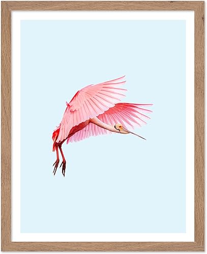 Miniatura 318 de Poster Master Póster vintage de flamenco americano, estampado retro de flamenco rosa, arte de pájaro, regalo para él, ella, amante de los animales,