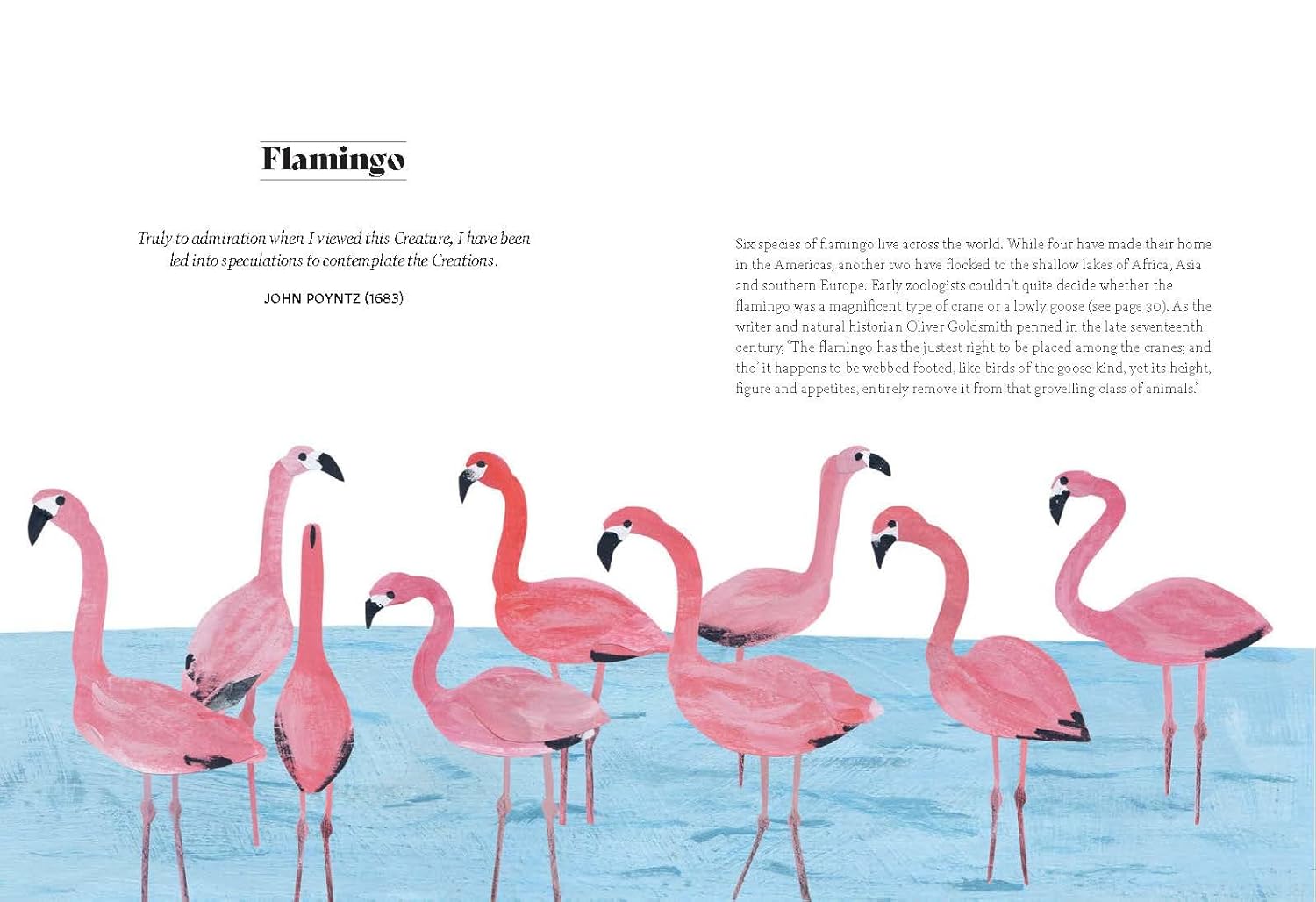 Bird Lore: The Myths, Folklore and Meaning of Birds - Image 5