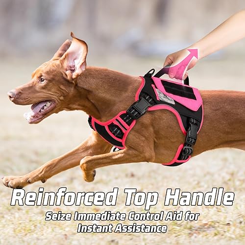 Miniatura 5 de WINGOIN Arnés táctico para perros pequeños, arnés antitirones con asa, 2 bolsillos, chaleco reflectante para perro, hebilla de metal, arnés