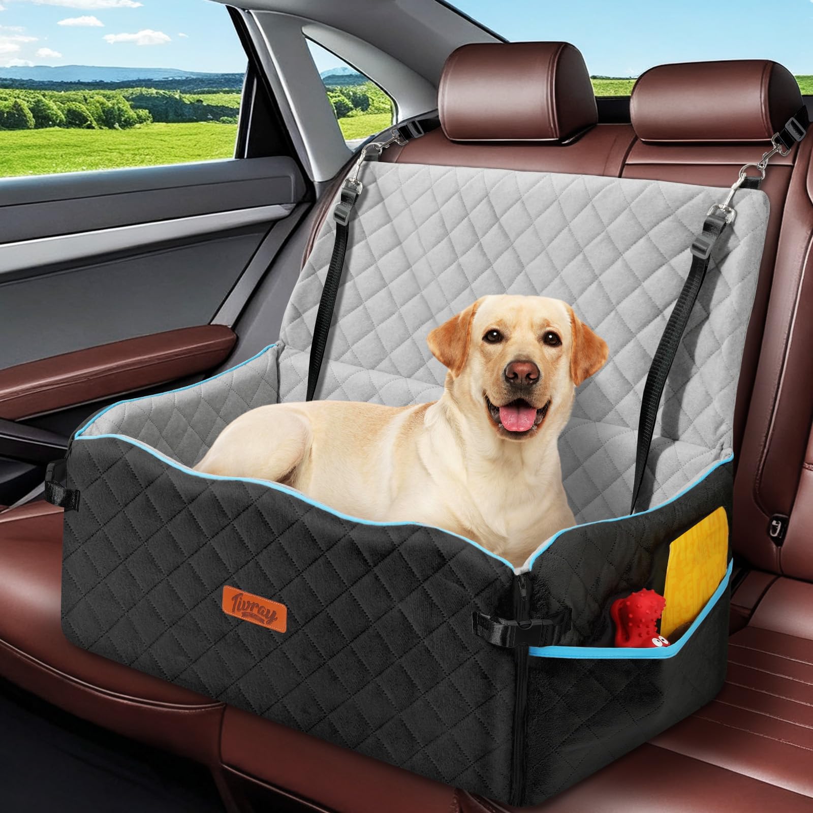 Large Dog Car Seat, Dog Car Bed for Large Dogs Under 60 lbs or 2 Small Breeds, Comfortable Dog Booster Car Seat with Soft Foam Thick Cushion, Detachable & Washable Pet Bed for Backseat, Black & Gray