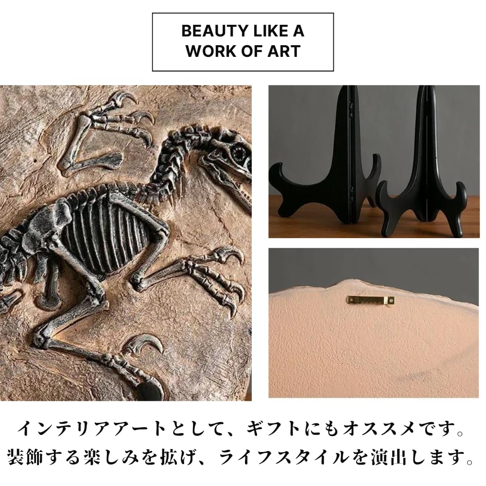 化石 骨格 アンモナイト 50mm 極美麗標本｜ホビー・楽器・アート