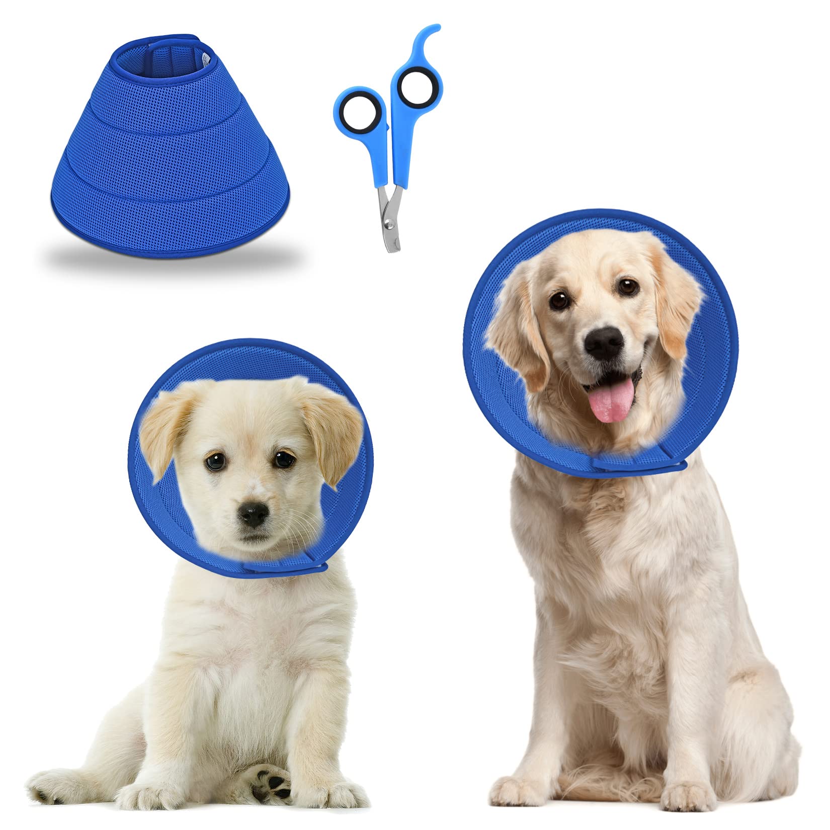 How Should A Dog Cone Fit