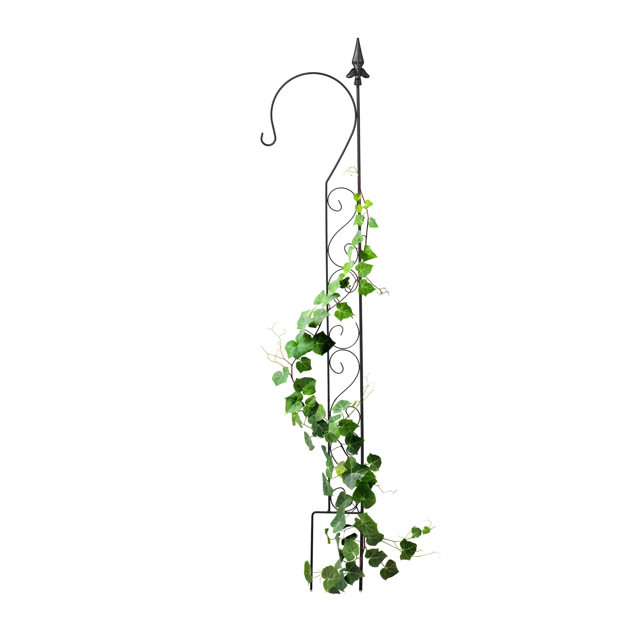 Tutor de jardín para plantas trepadoras en terrazas y patios exteriores