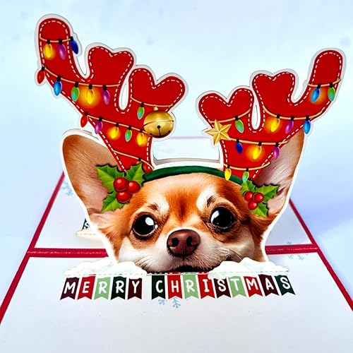 Miniatura 3 de Black Bulldog Dog - Tarjetas desplegables divertidas de cumpleaños en 3D, tarjetas emergentes de cumpleaños 3D de Black Bull Dog, tarjetas