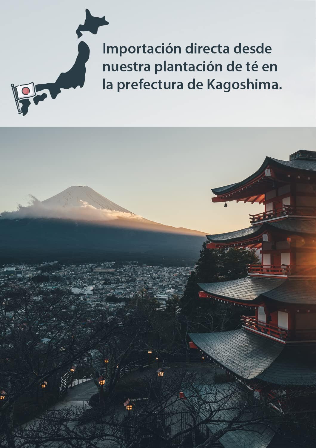 Kaizen® Ichiban Té Matcha Orgánico - Grado Ceremonial de Concurso - completamente sombreado - importado directamente de la prefectura de Kagoshima - Tarro de 30g con protección UV y contra el oxígeno