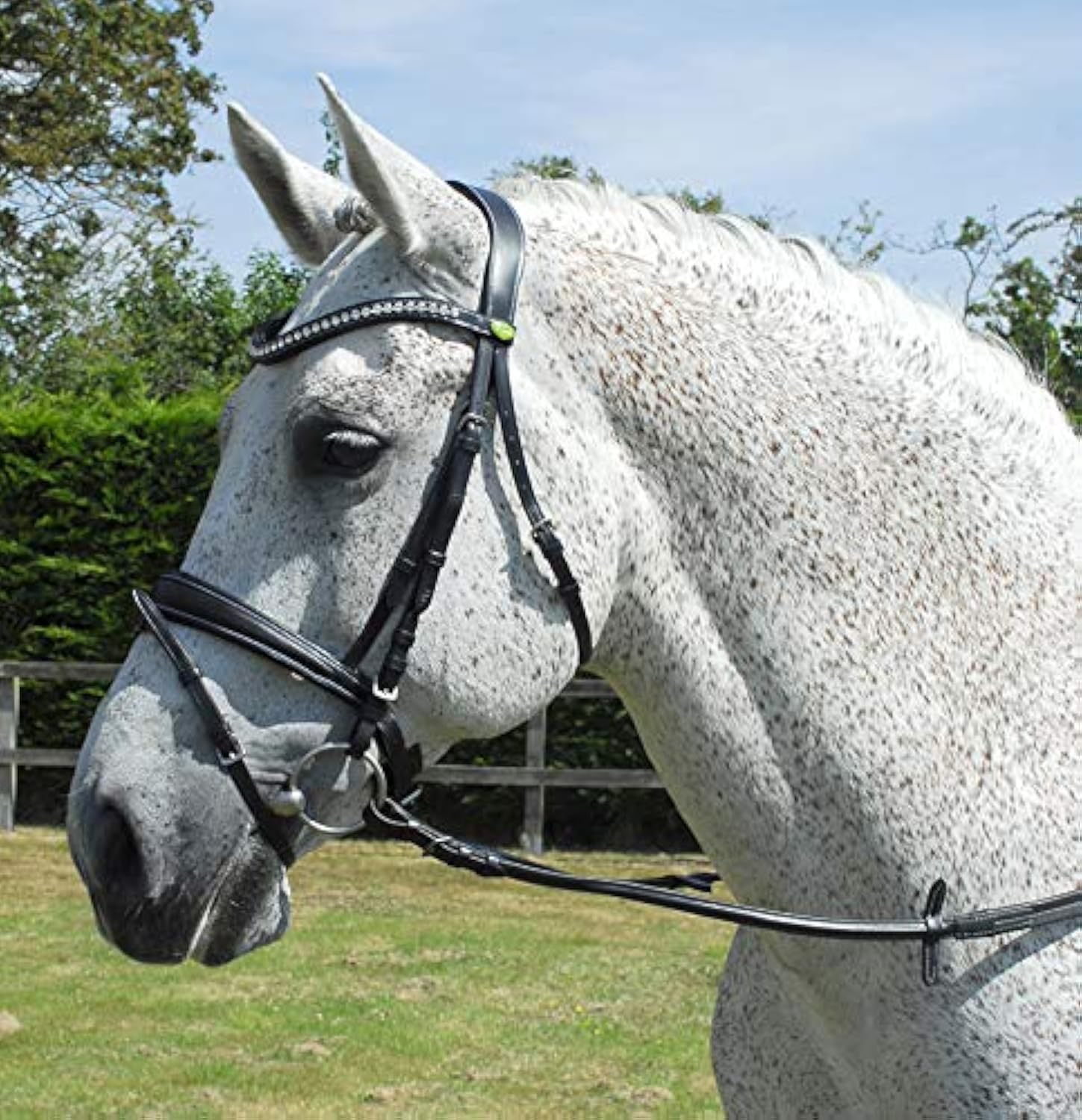 Rhinegold Anatomic Bridle -Full - Havana