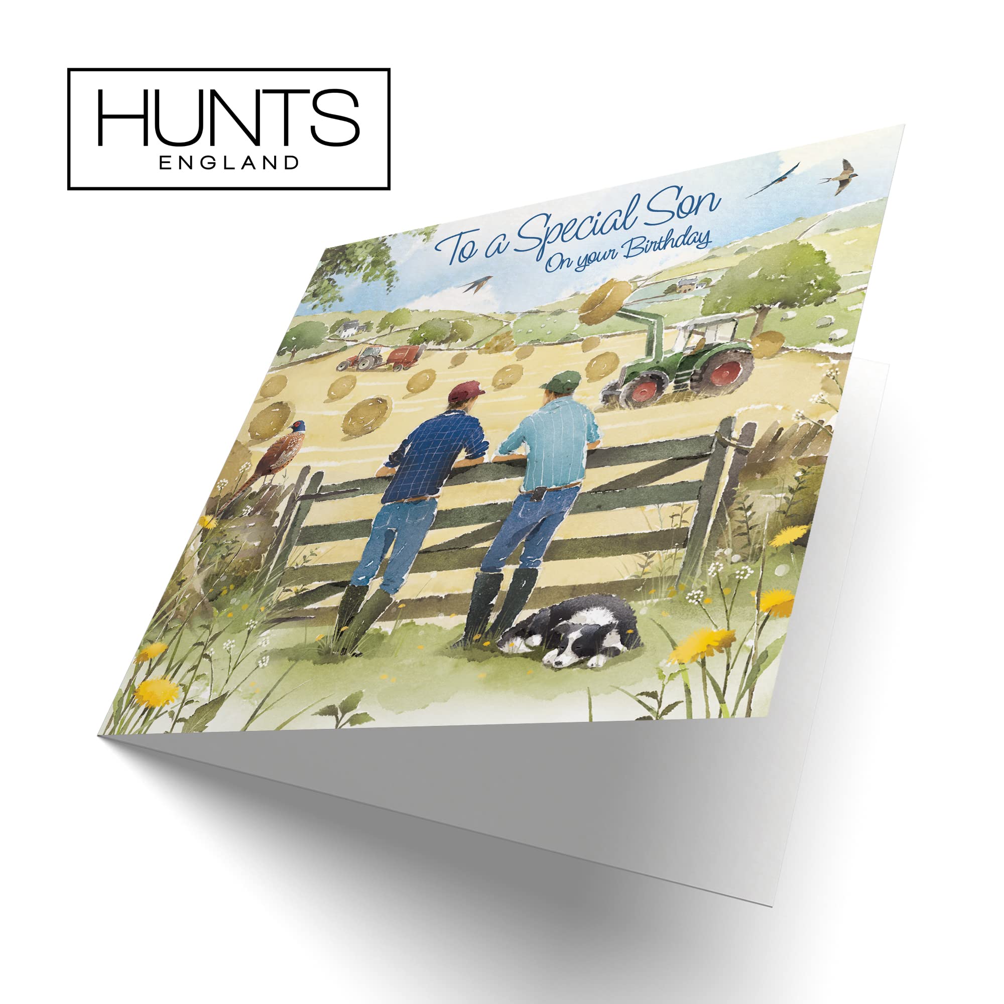 Biglietto Di Compleanno Hunts England Per Figlio 25 Anni – Design Badgers Milo's Gallery – Divertente E Di Lusso - 2