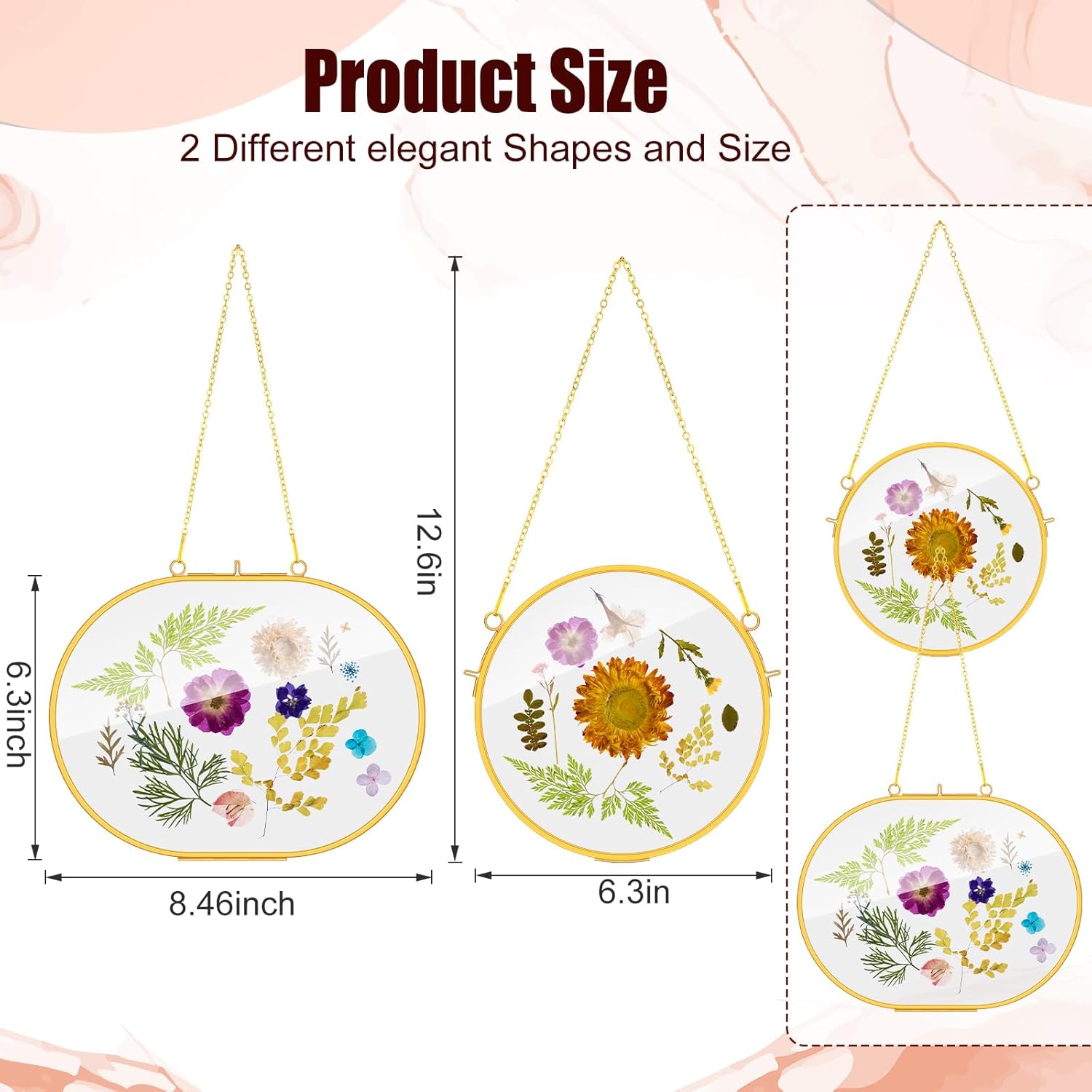 barydat 12 pcs pressed flower frames glass hanging picture frames wall hanging double brass circle gold floating photo display bulk dry flower decoration with chain for gallery artwork vintage decor