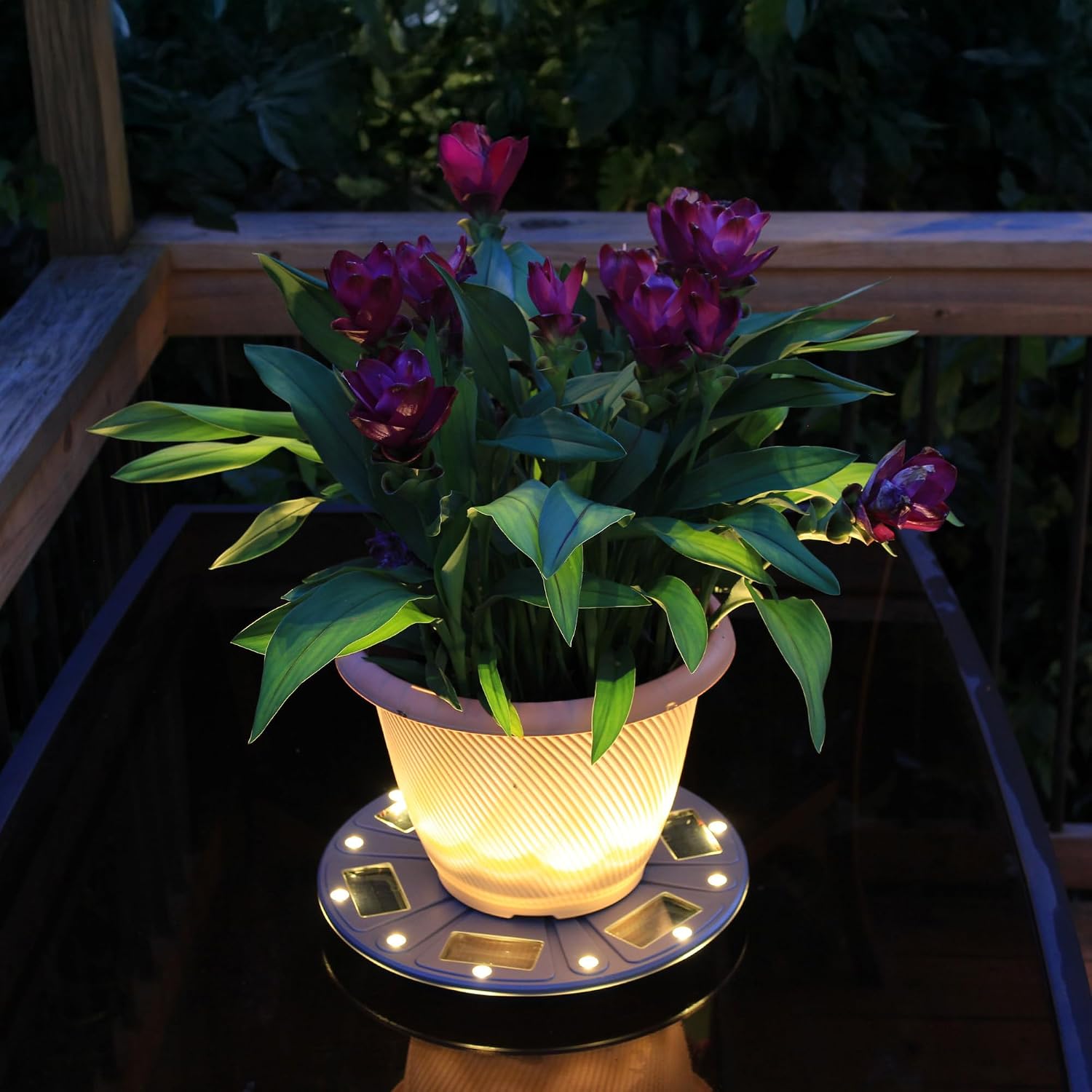 Gama Sonic 15" Illuminated Plant Stand for Outdoor, Solar Power, Grey Base for Exterior Potted Plants, Entryway, Pathway, Landscape Planter Lighting (78i50865)