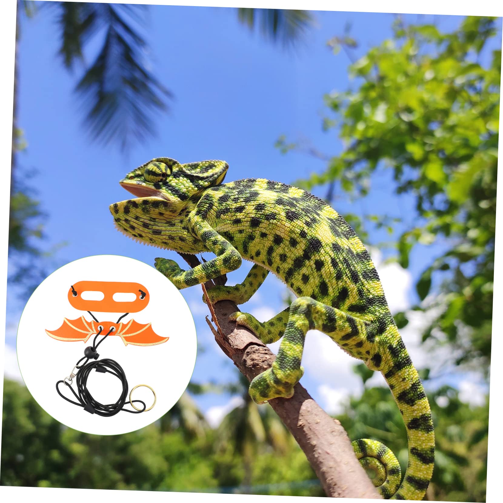 BESPORTBLE Lizard Leash Set 5pcs Reptile Harness Leash for Gecko Small Pet Comfortable