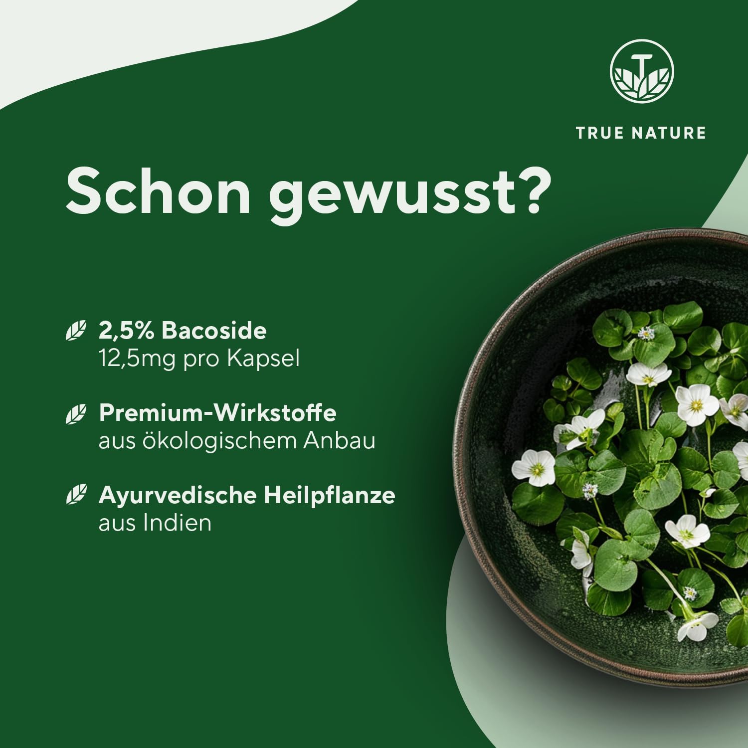 Bacopa Monnieri Brahmi - Hochdosiert: 1.500mg mit 2,5% Bacoside - Big Pack: 360 Kapseln - Brahmi Kapseln Bio, Kleines Fettblatt - Ayurveda, vegan - Ohne Zusätze - TRUE NATURE