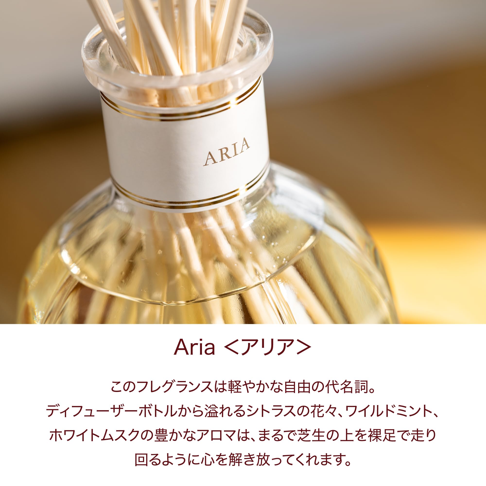 新品未使用　1250ml BIGサイズ  ドットールヴラニエス　ARIA アリア Amazon.co.jp: 【直営】DR. VRANJES –ドットール・ヴラニエス ARIA