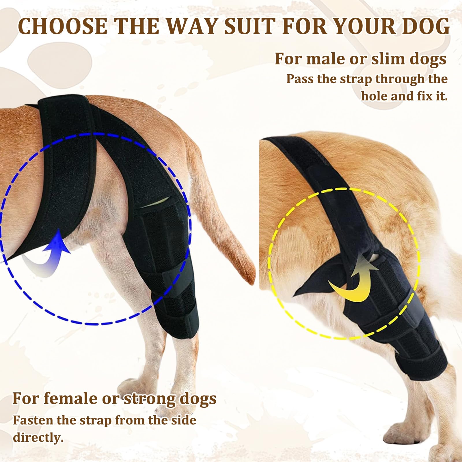 Amazon.co.jp: HACRAHO 犬用膝サポーター 前十字靭帯断裂用 後脚用 ACL