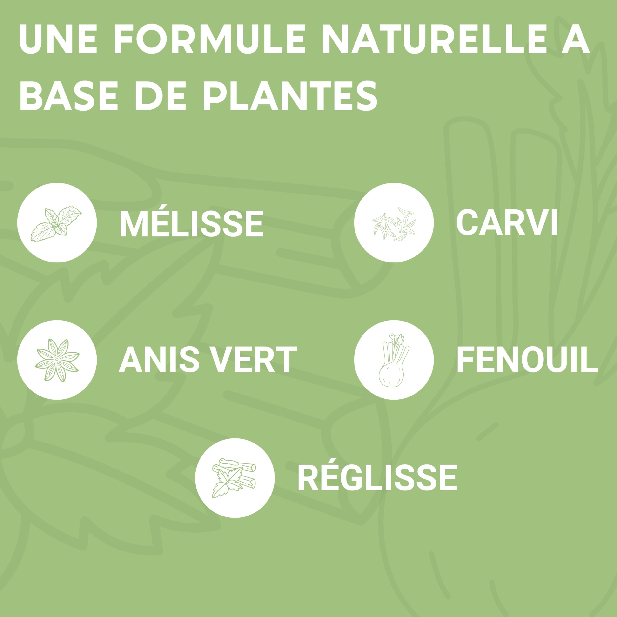 FORMULE DIGESTION | Digestion, Transit, Constipation, Detox Colon | Fenouil, Carvi, Anis vert, Réglisse, Charbon, Mélisse | 60 Gélules | Complement Alimentaire | Fabriqué en France
