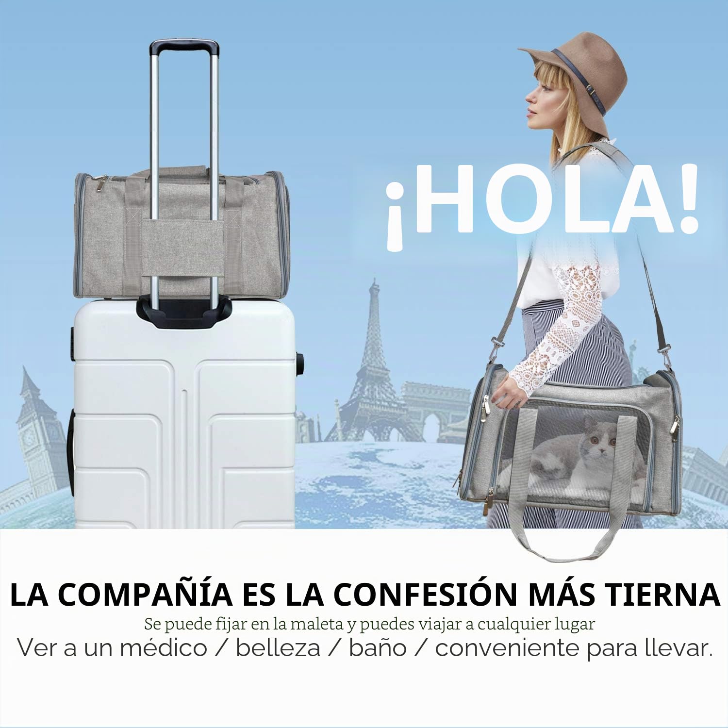 Henkelion Transportador de Mascotas Aprobado por aerolíneas, transportador Plegable para Perros pequeños y medianos