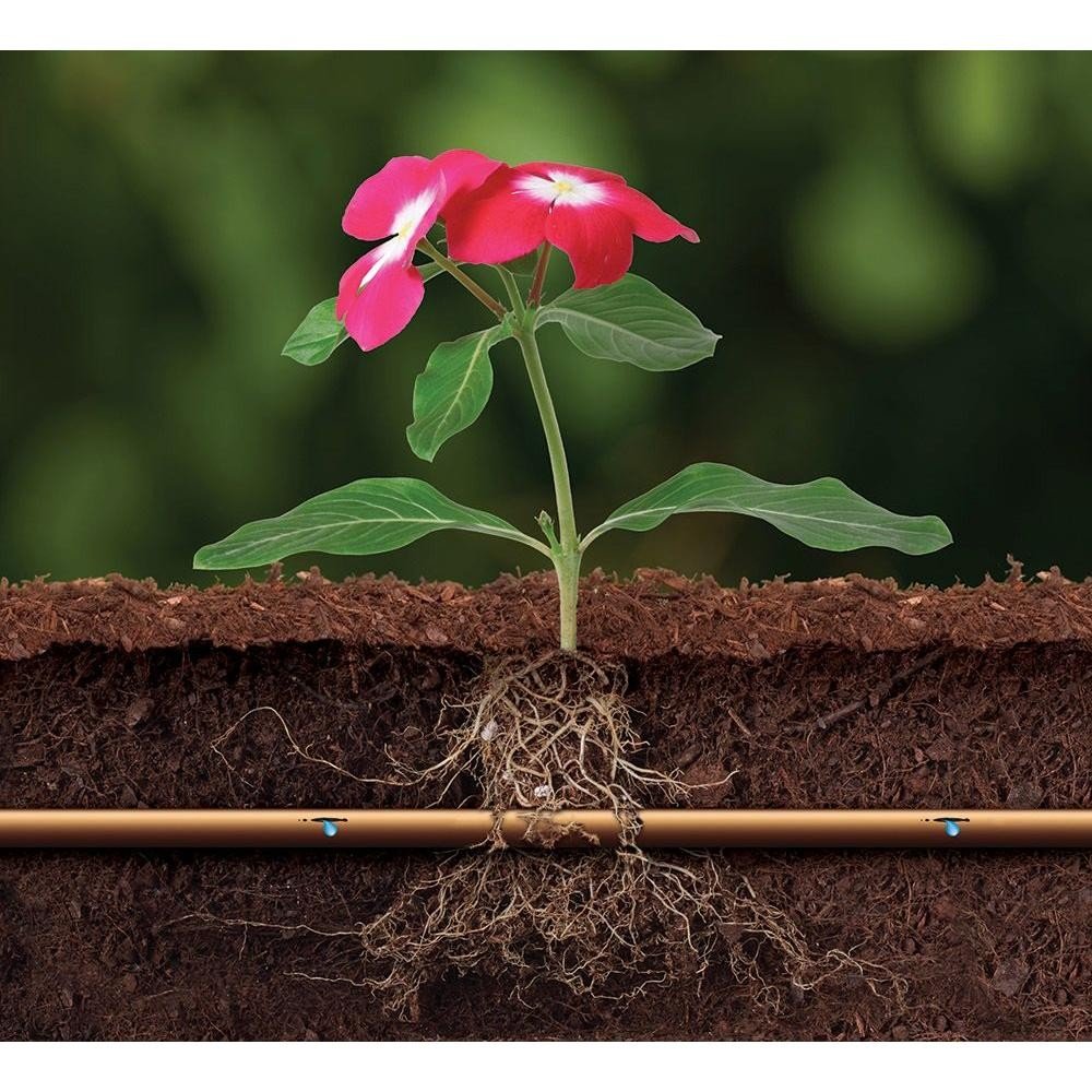 Tubo Antigoccia Rain Bird XFS Con Tecnologia Copper Shield - Per Irrigazione Interrata - 2