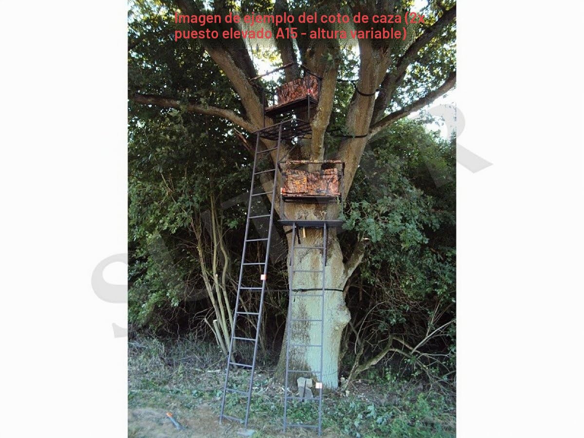 SUTTER Silla elevada portátil y Escalera de Puesto de Caza/Altura: 4,5m / Protector para Armas Ajustable y Asiento abatible