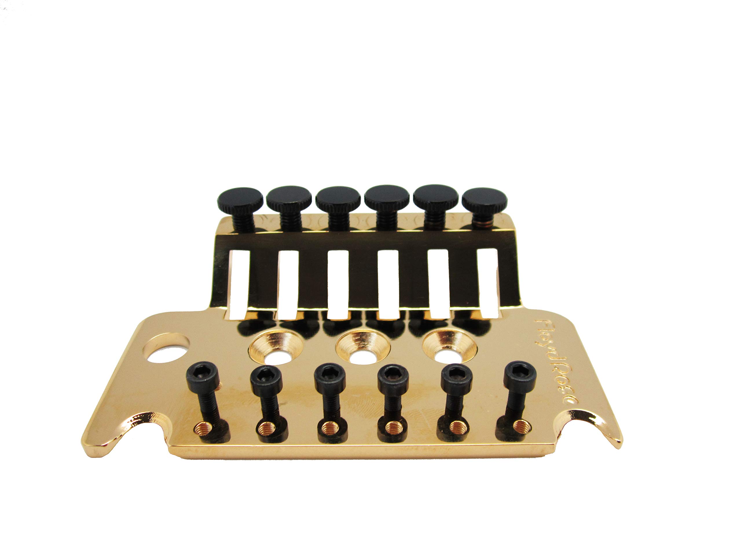 Amazon.com: Floyd Rose 1000 Series Base Plate (Gold