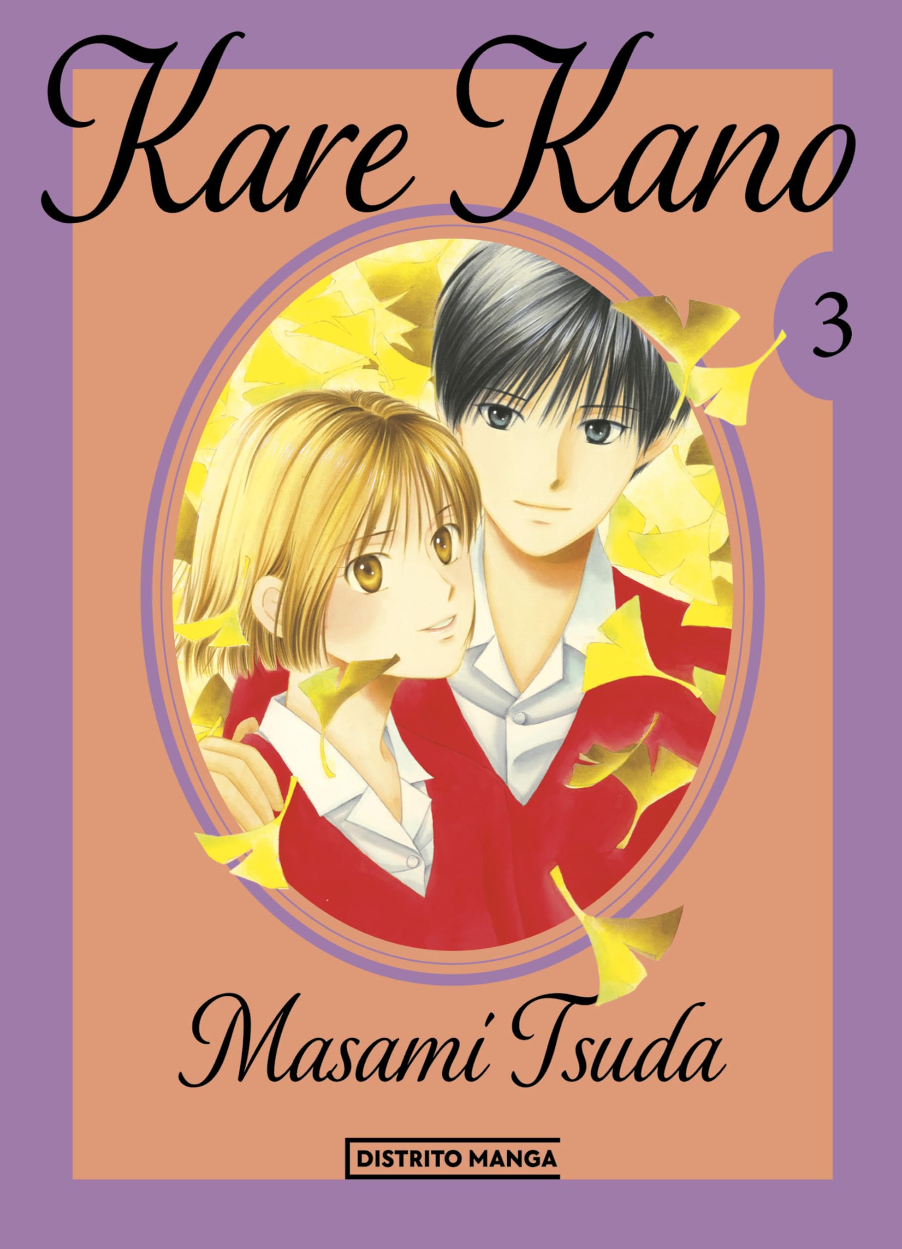 Kare Kano 3 Manga