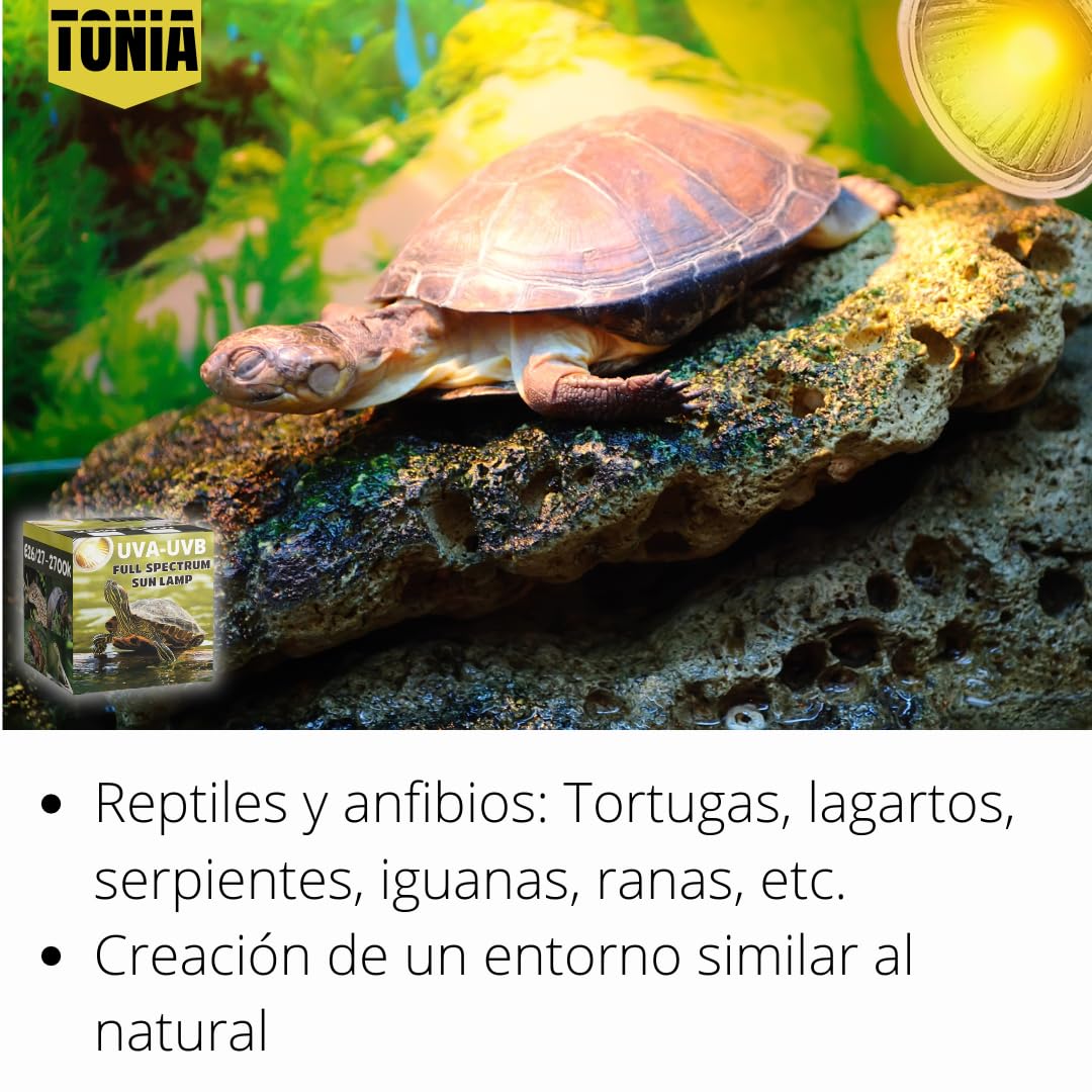 Tonia Kit de 4 Bombillas UVA/UVB + Portalámparas para Reptiles – 2x25W + 2x50W – Luz Solar de Espectro Completo para Terrarios y Acuarios Tortugas, Camaleones – 360º