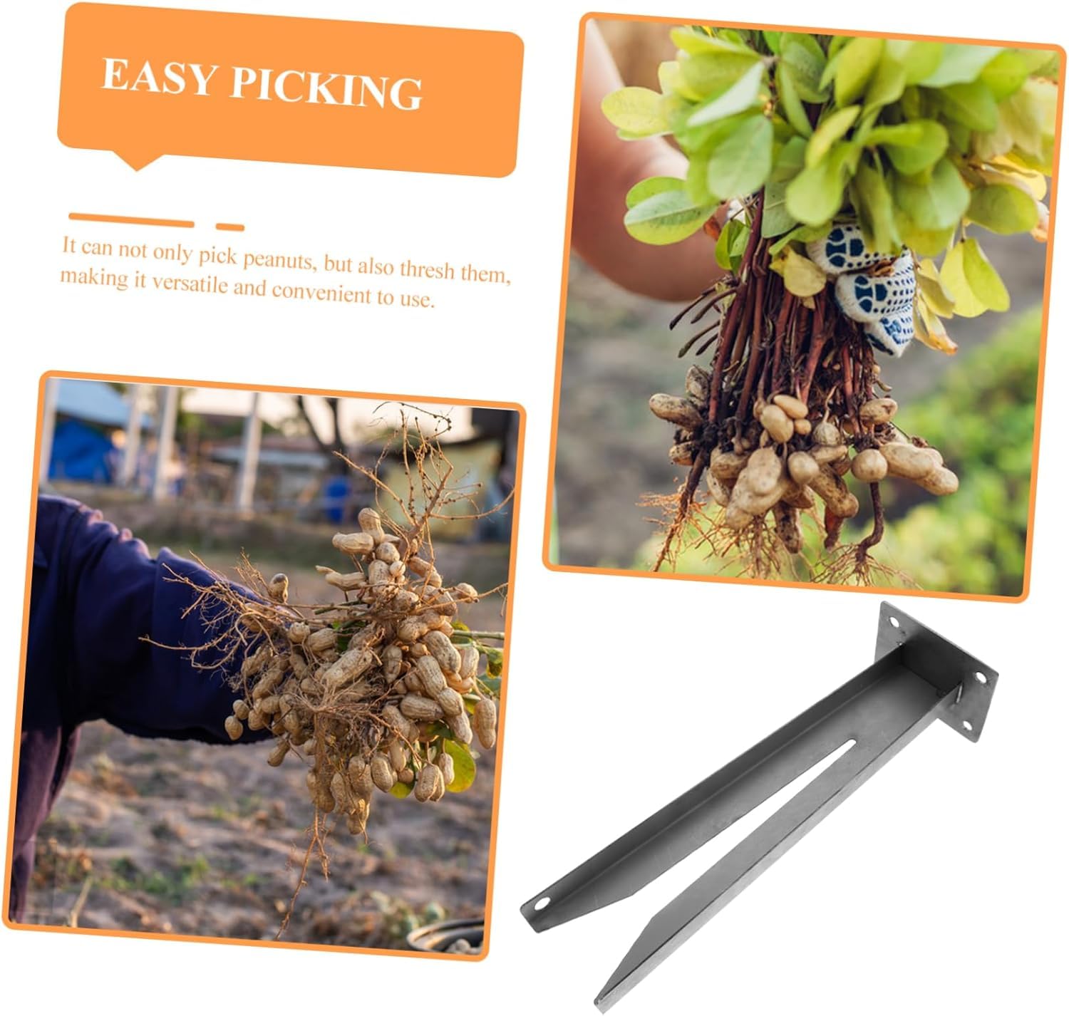 ピーナッツページ Amazon | ピーナッツピッカーナットシェルクラッシャーフルーツ