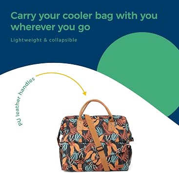 BANZ Picnic Cooler Bag - Insulated, Leak, or Travel to Any Outdoors Event