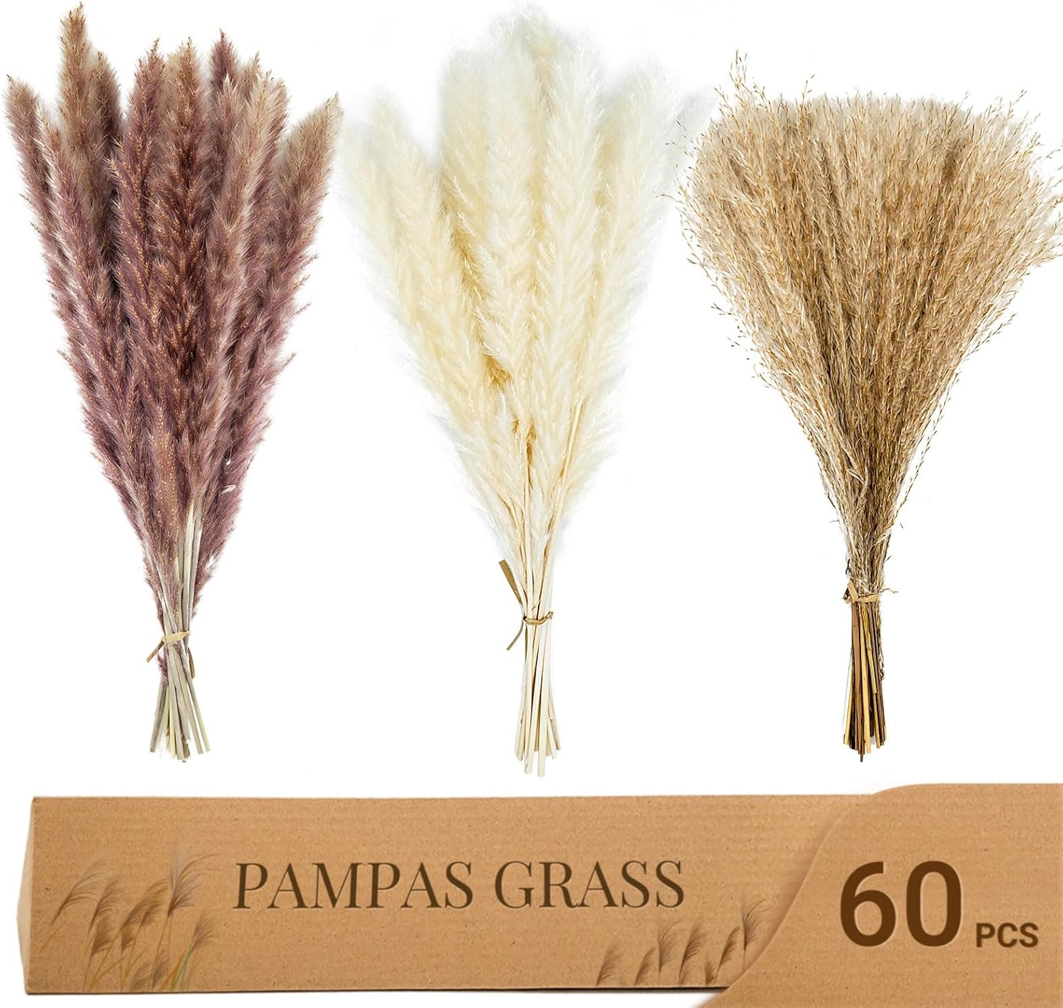 Beau Jour 60 pcs Natural Dried Pampas Grass – 15Pcs Brown Pampas & 15Pcs White Pampas & 30Pcs Reed Grass Fluffy Dried Flowers for Home Decor Wedding Boho Decor Beau Jour 60 pcs Natural Dried Pampas Grass – 15Pcs Brown Pampas & 15Pcs White Pampas & 30Pcs Reed Grass Fluffy Dried Flowers for Home Decor Wedding Boho Decor