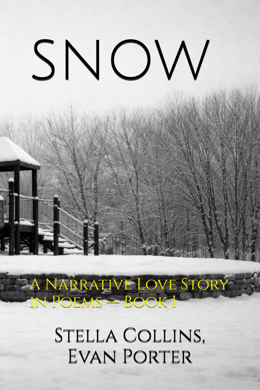 Snow: A Narrative Love Story in Poems — Book I