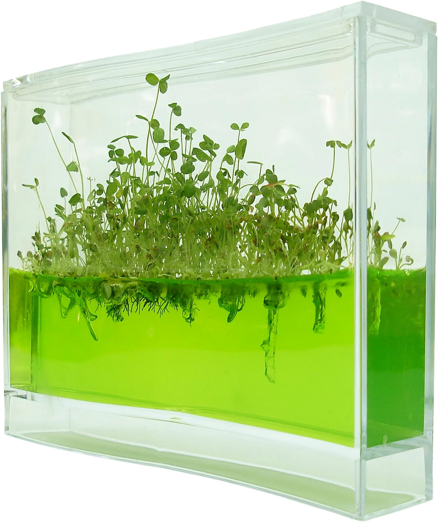 Plantarium Super : Plantarium