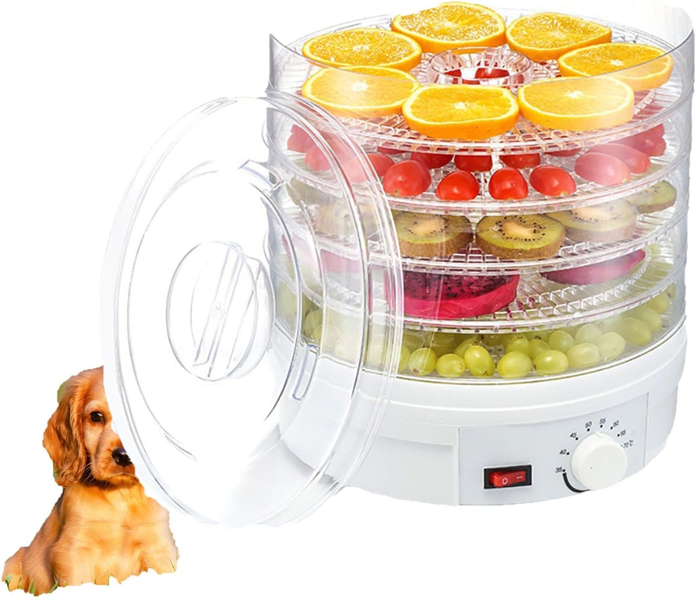 350W Food Dehydrator - Compact Transparent Fruit & Vegetable Dryer, Perfect for Making Beef Jerky, Pet Treats & Healthy Snacks, Ideal for Fruits, Meats & Dehydrating Foods