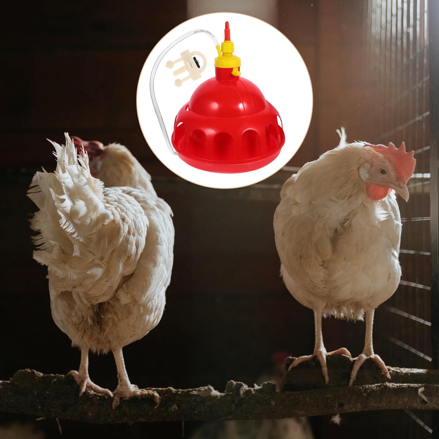 1Pc Thickened Poultry Automatic Waterer for Quail Ducks and Geese Red Drinking Dispenser for Home Use Easy to Operate Poultry Water Drinking System