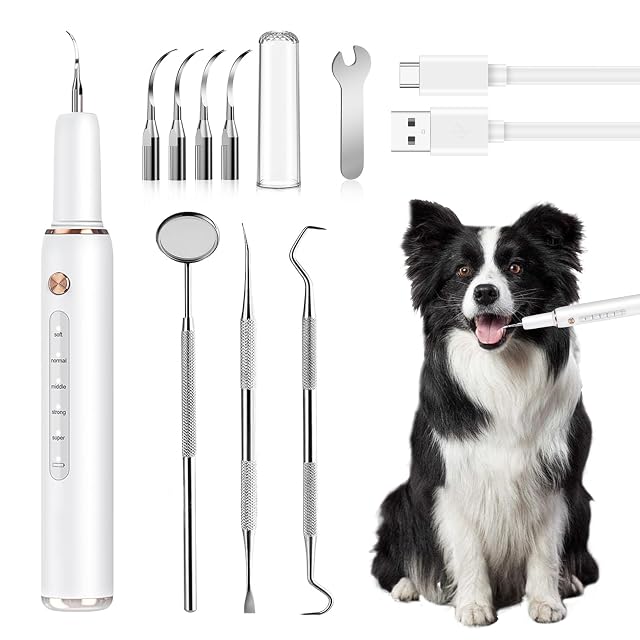 PORFOYO Eliminador de sarro para perros, limpiador dental para mascotas
