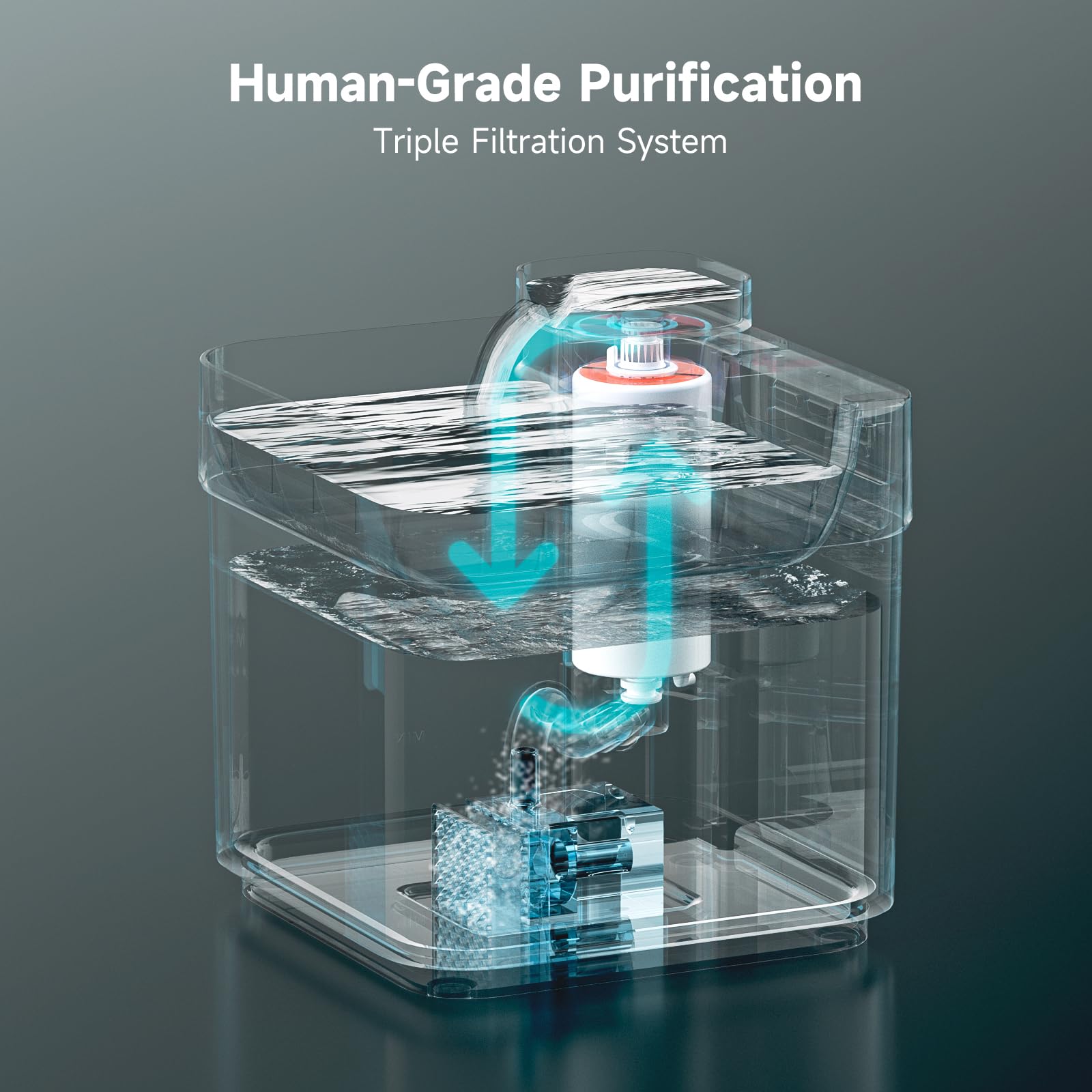 Lulumiao Cat Water Fountain, 99.99% Purification with Ultra-Filtration Filter, 2.5L/84oz Automatic Dog Water Dispenser, Human Grade Water Fountain for Pet with Quiet Smart Pumpä¸¨BPA-Free Material