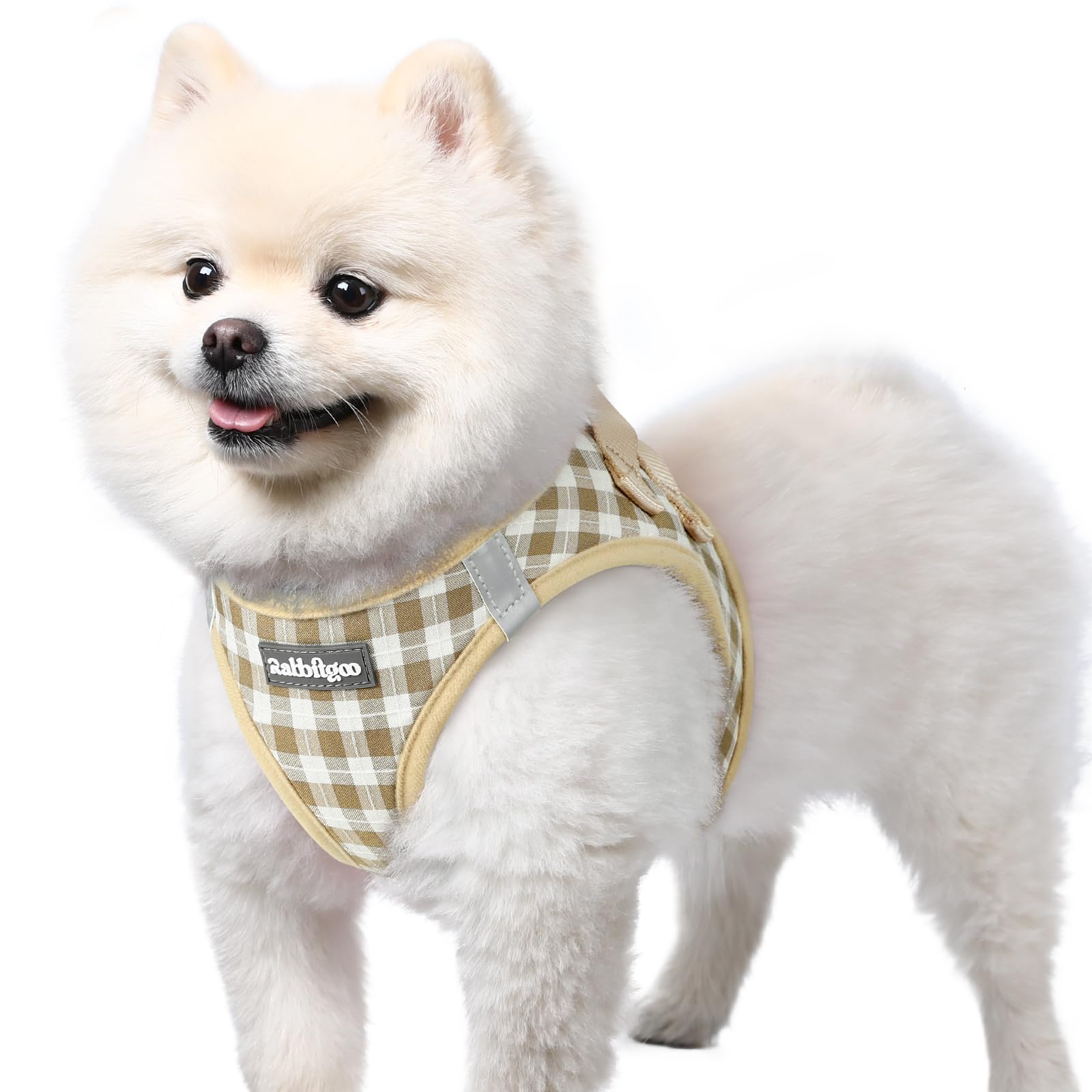 rabbitgoo Hundegeschirr kleine Hunde, Step-in Soft Mesh Hundegeschirr mit Sicherheitsverschluss, atmungsaktives und reflektierendes Welpengeschirr für kleine Hunde