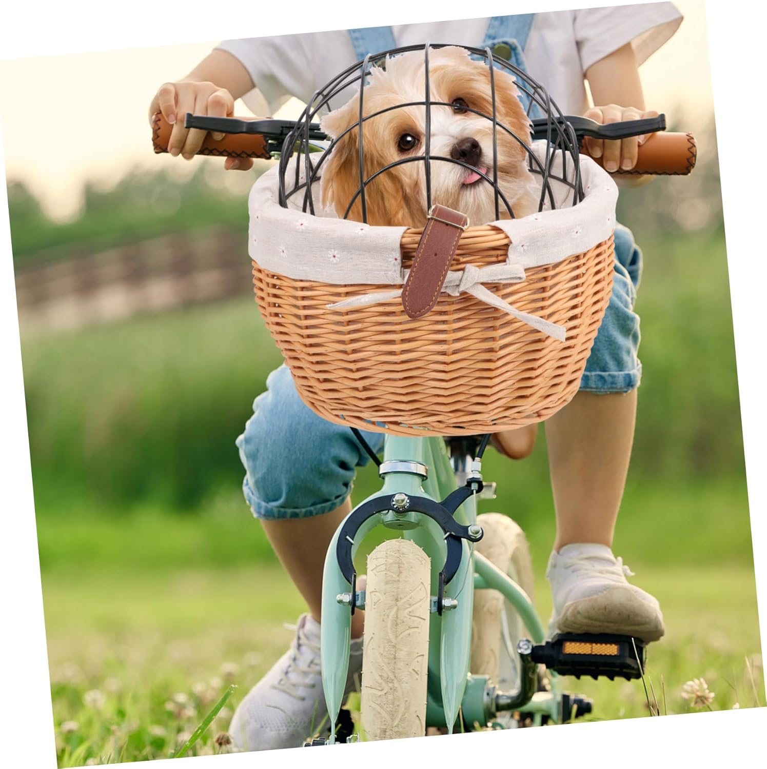 BESPORTBLE Removable Pet Carrier Bag with Iron Frame for Bicycles Durable Front Handlebar Storage for Dogs and Cats Easy to Install Bike Frame Bag
