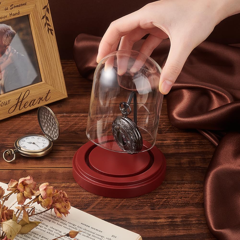 PH PandaHall 3.1 x 4 pulgadas reloj cristal pantalla cúpula Cloche con gancho de metal y pie de madera escaparate para reloj de bolsillo medallas