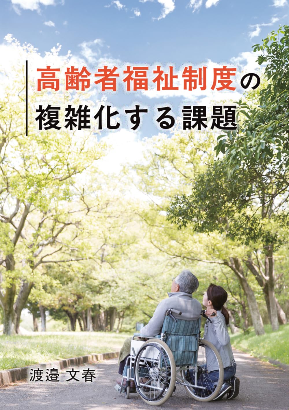 高齢者福祉制度の複雑化する課題