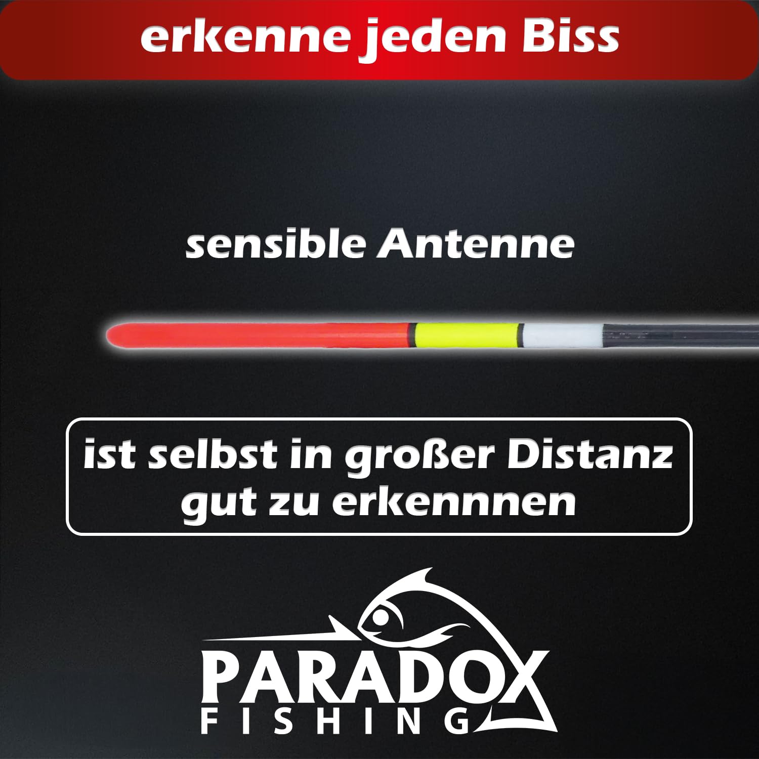 Paradox Fishing Waagler 5-częściowy zestaw 4 g - 8 g I 2 g zestaw połowów pływających łowisk