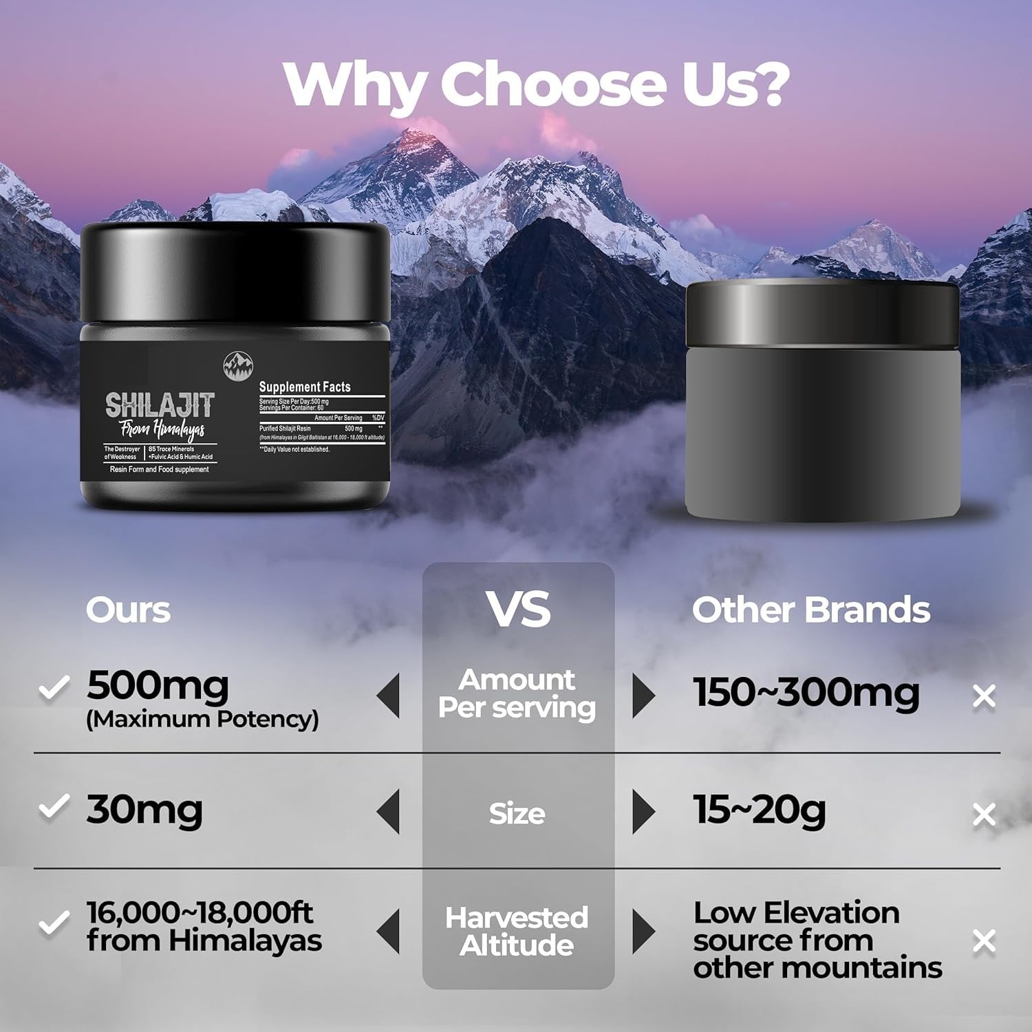 Pure Shilajit Himalayan Shilajit - 600 mg 100% naturale biologico Shilajit con 85+ tracce di minerali e acido fulvico per energia, forza e immunità, 30 grammi (1 x)