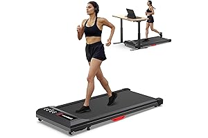 Dog Treadmill for Sale Near You