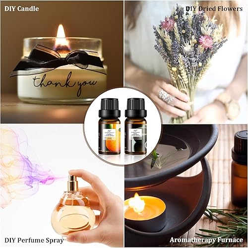 Miniatura 7 de ap airpleasure Refresh - Juego de aceites esenciales, juego de aceites aromáticos de 0.3 fl oz, 6 botellas de aceites de aromaterapia, kit de