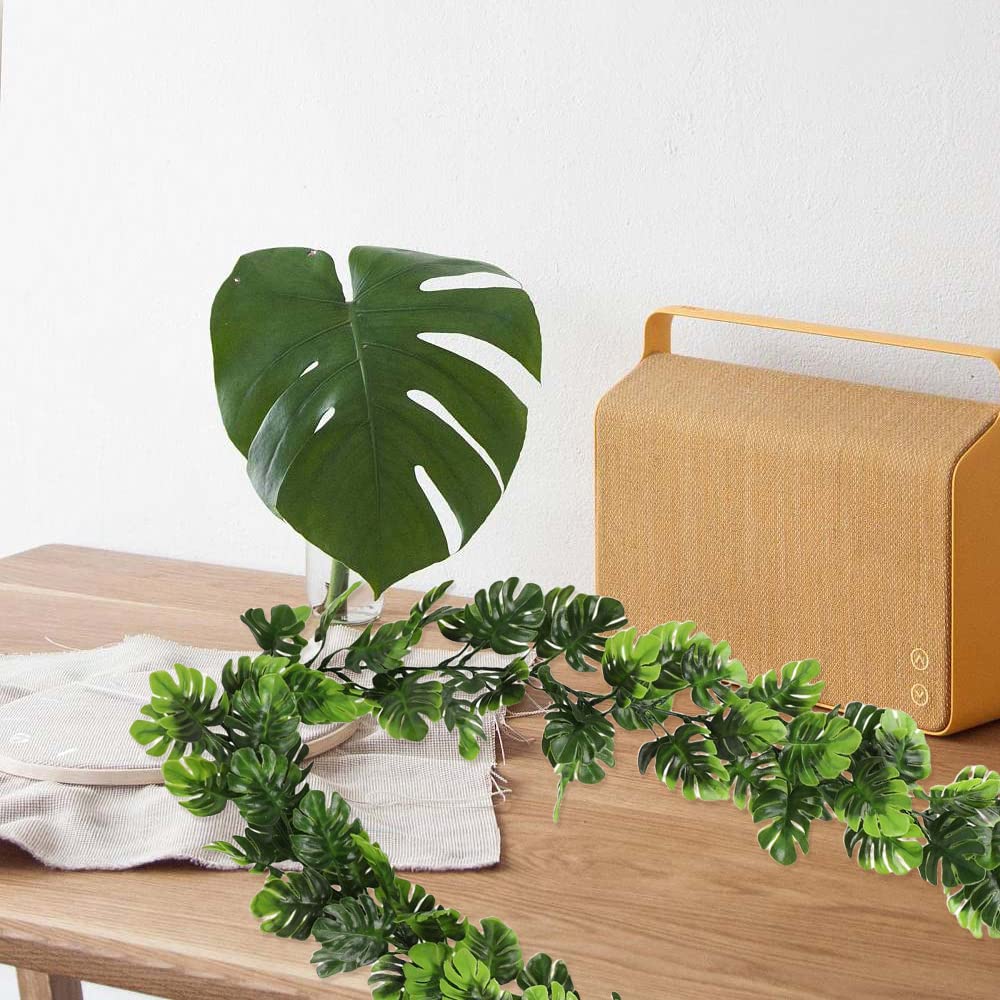 philodendron pastazanum crawler Philodendron pastazanum  Foliage Factory