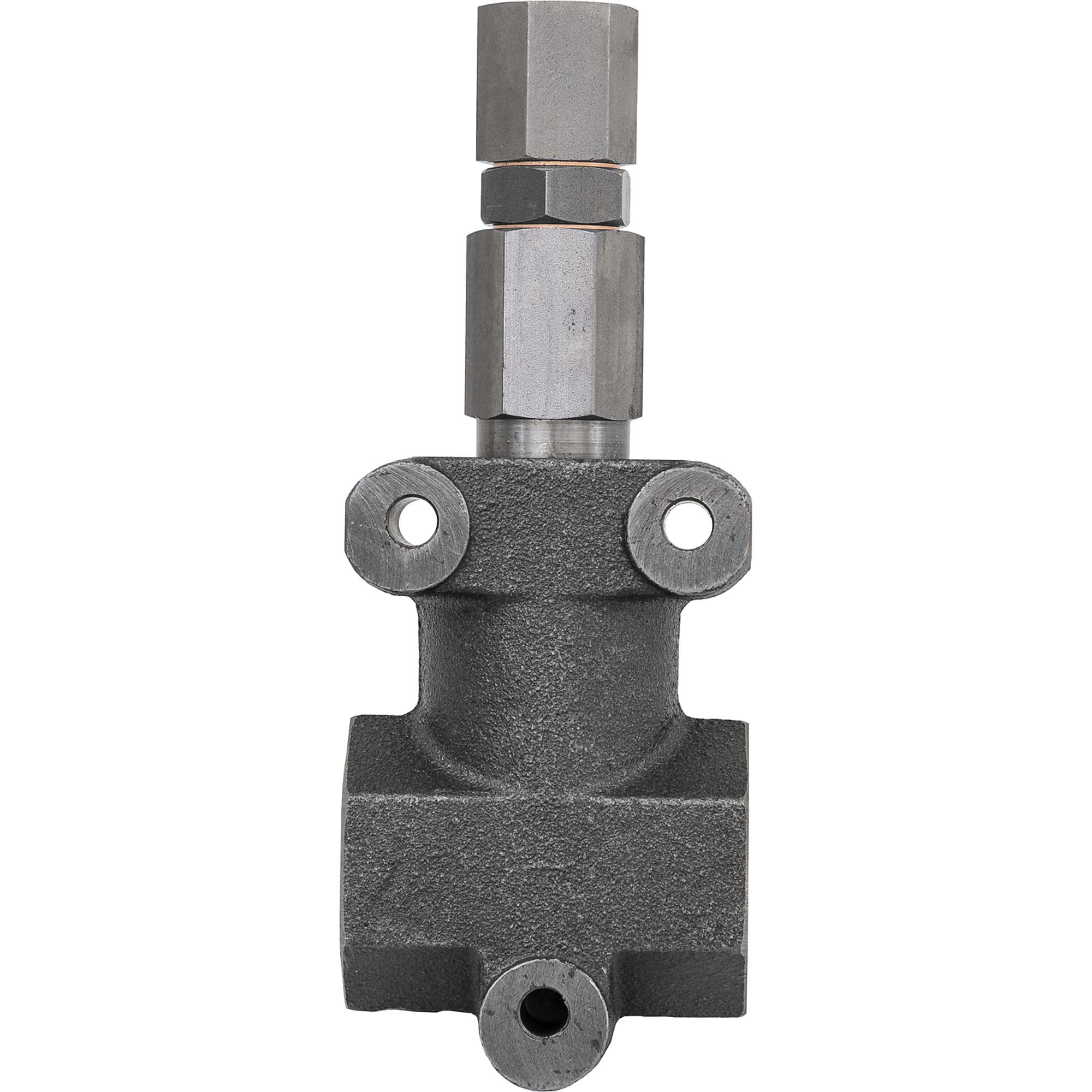 Buyers Products HRV10025 Valvola di scarico in linea (Valvola,Sollievo in linea 1In Npt,50 Gpm)