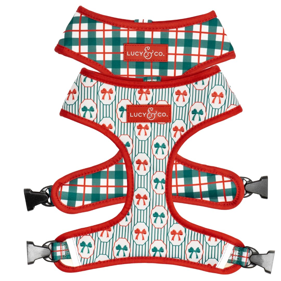Lucy & Co. Reversible Dog Harness - Water-Repellent Neoprene, Dual-Print Design, Easy Swap Style, Adjustable Comfort Fit - Wrap it Up - X-Small — image 1