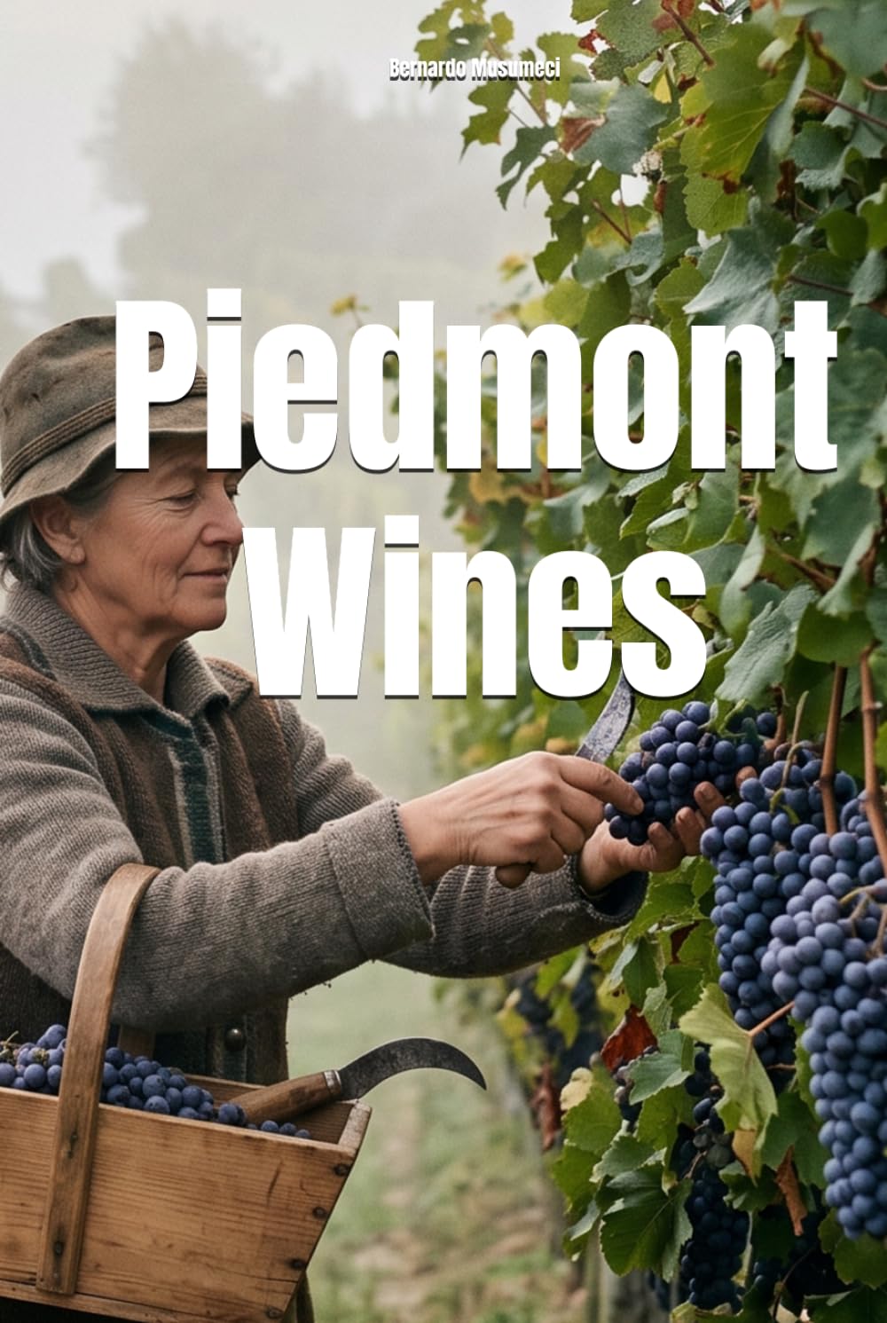 Piedmont Wines (Wines of the World: Italy)