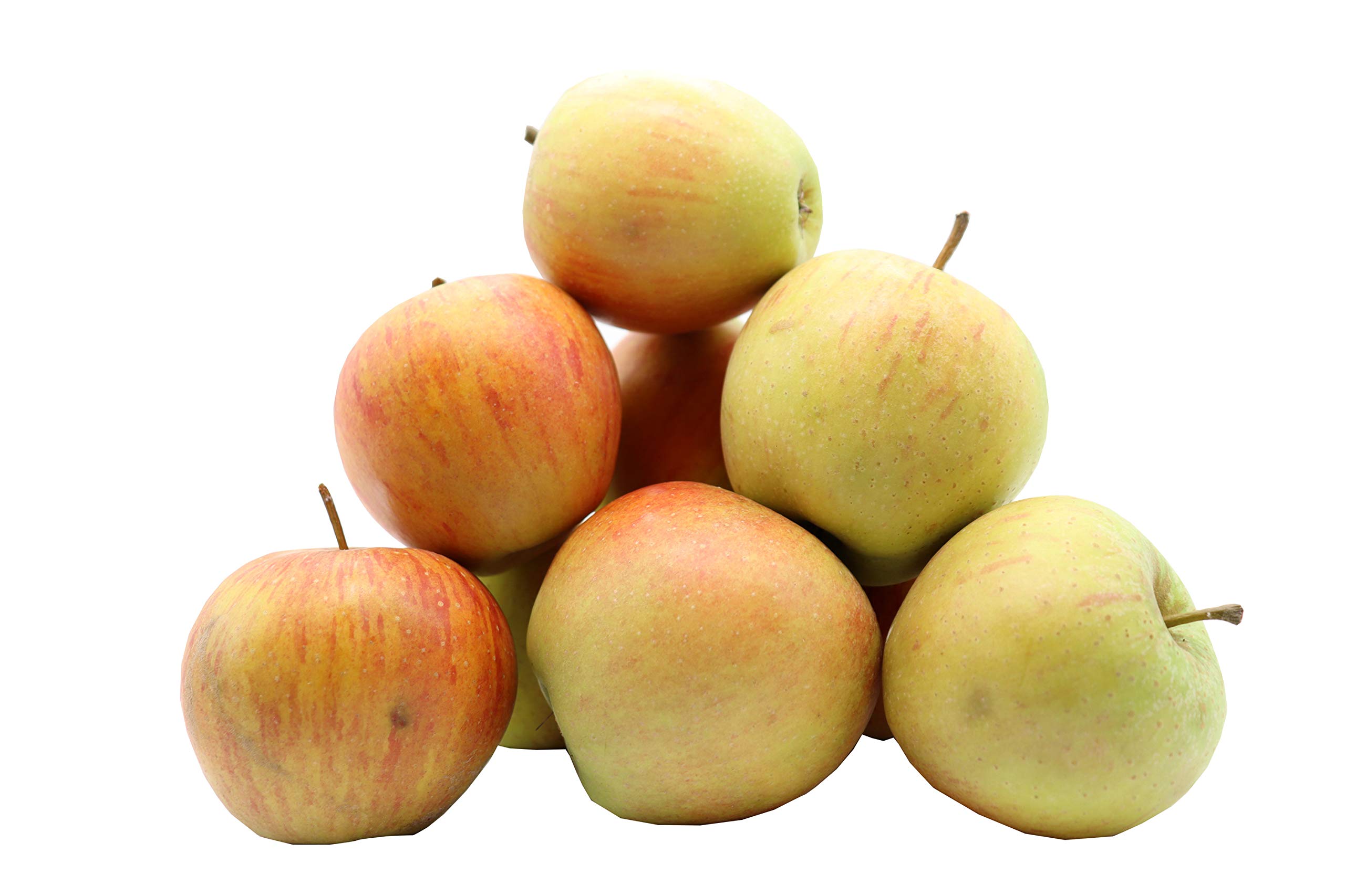 Bleichhof Äpfel Rubinette - saftig, fein-säuerliches Cox Orange Aroma, aus der Pfalz (5kg) Neue Ernte