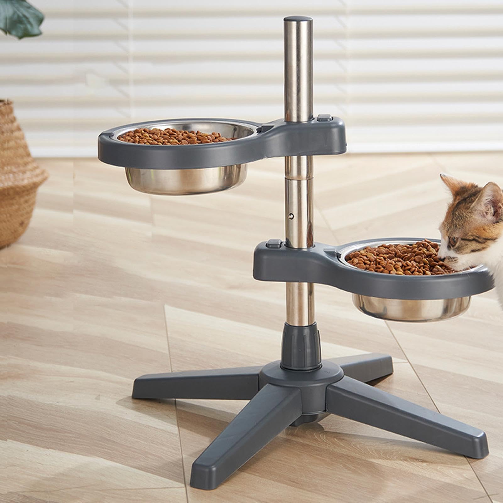 Gamelles réglables en Hauteur pour Chien – Solution d'alimentation