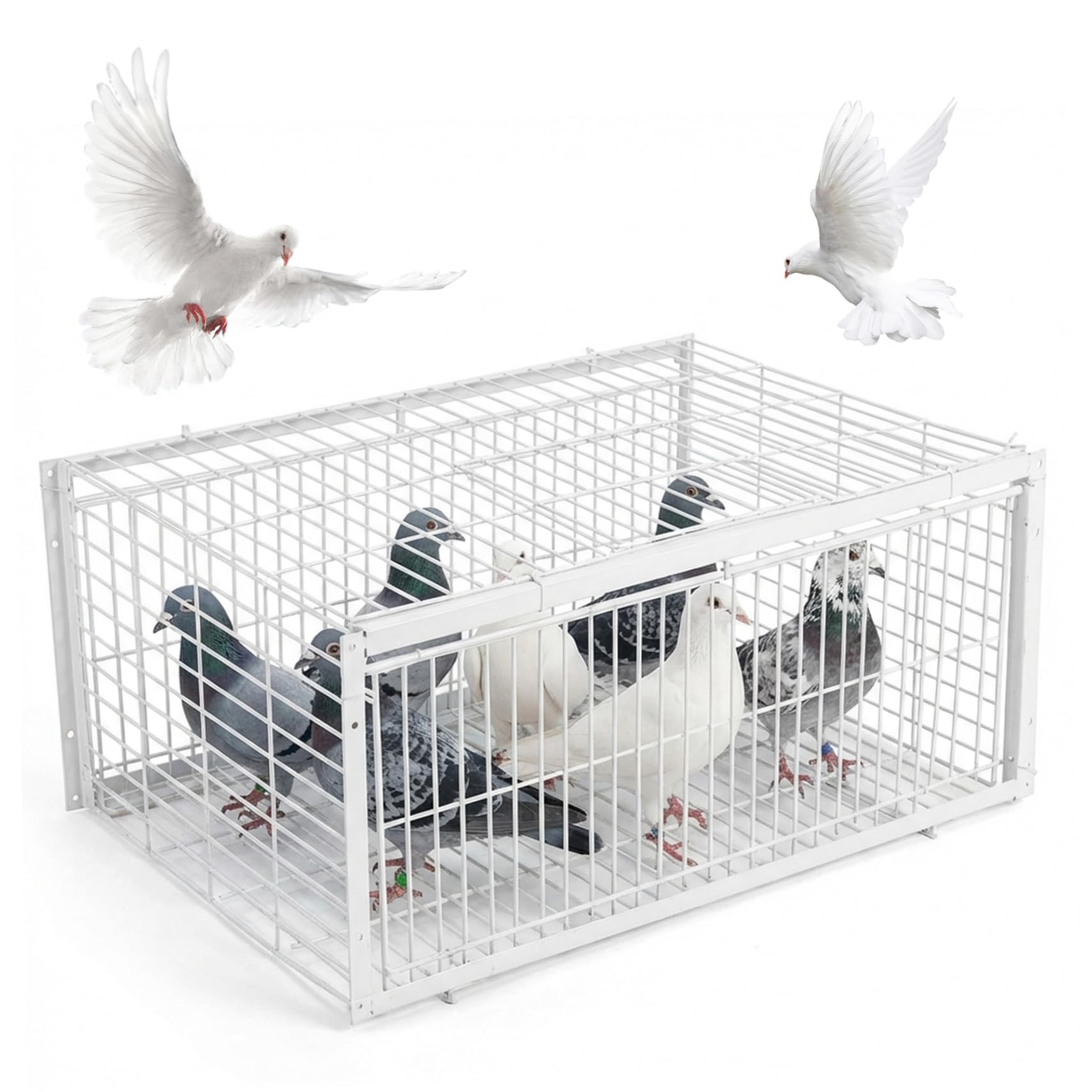 Bird Trap Pigeon Trap Escape-Proof Pigeon Cage with Two One-Way Access Entrances Portable Bird for Rooftops, Open Gardens, Barns Farms