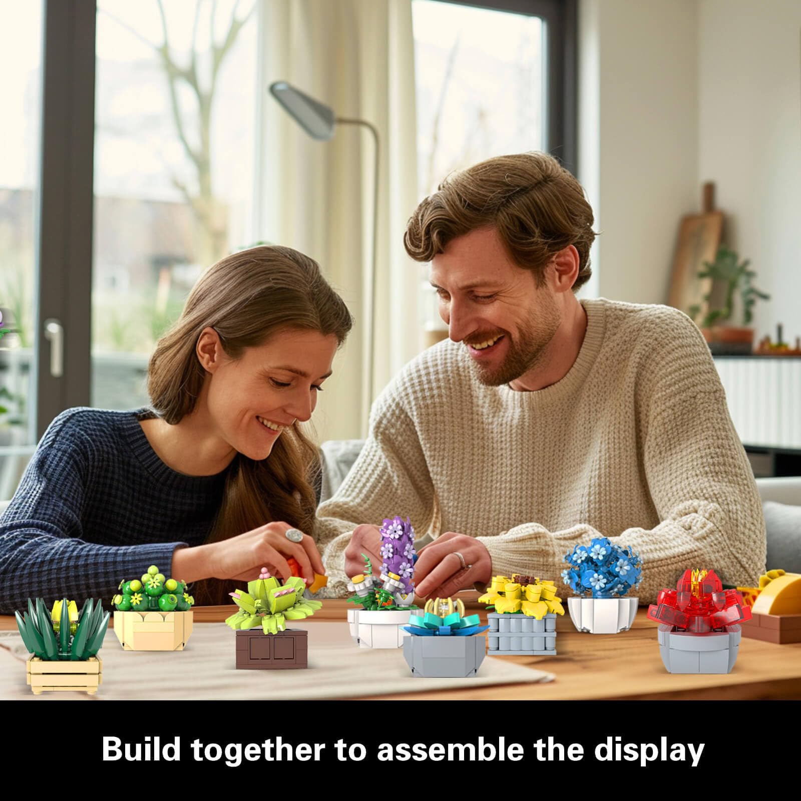 familysanセット Amazon.com: Succulents Set for Adults Building Sets, 12 Plants